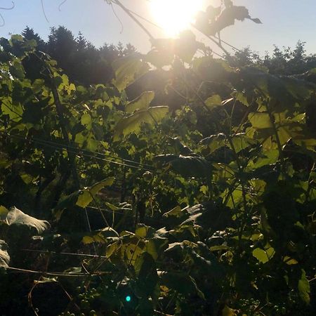 Winzerhaeuschen Kern Apartment Fehring Bagian luar foto